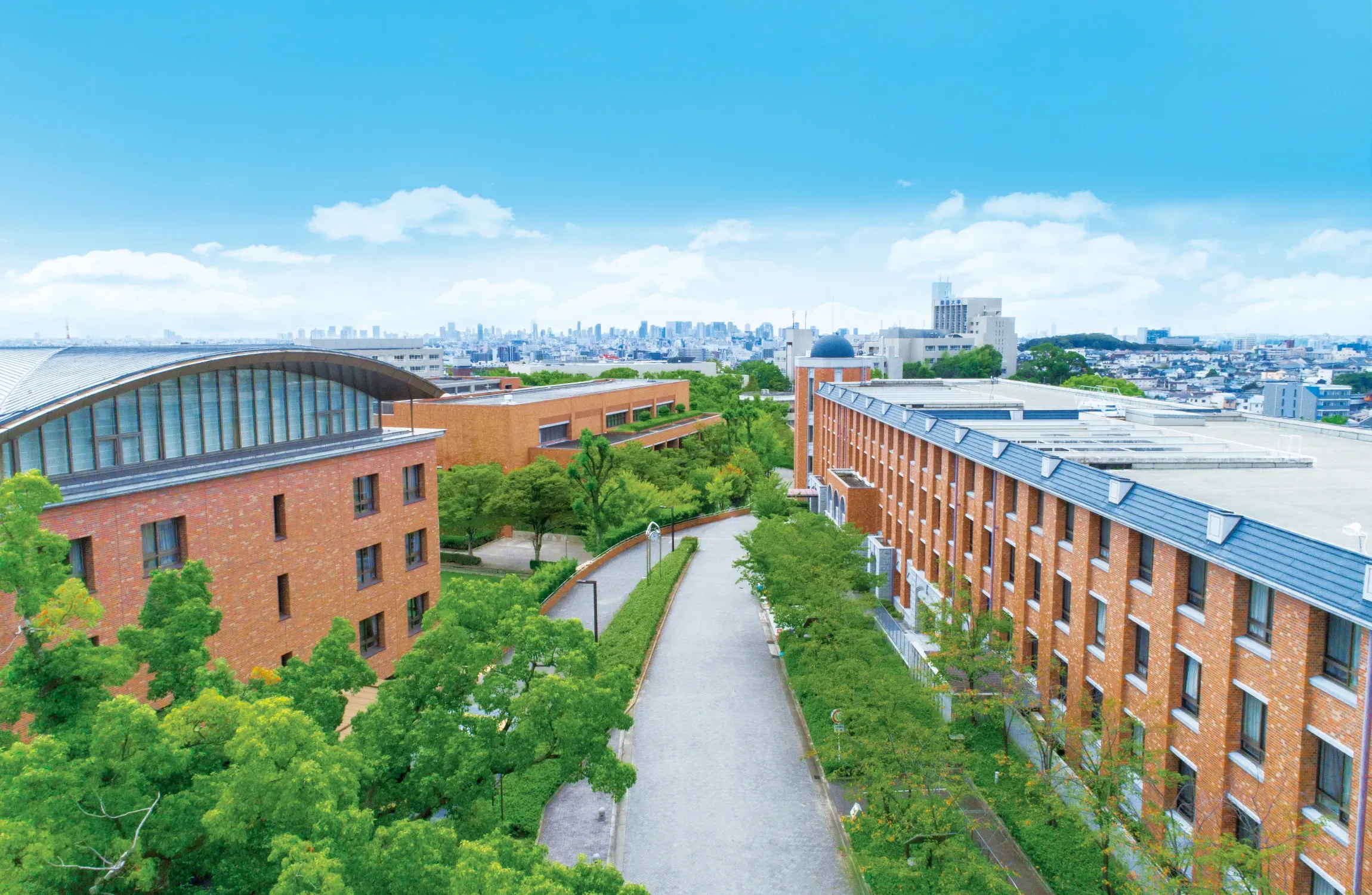 共通テスト利用入試（後期）<br>特設サイト