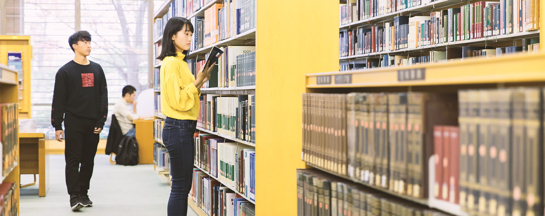 学部・大学院